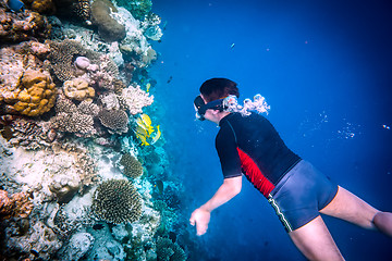 Image showing Snorkeler Maldives Indian Ocean coral reef.