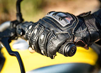 Image showing Motorcycle Racing Gloves