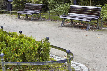 Image showing Benches in the park