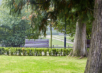 Image showing Benches in the park