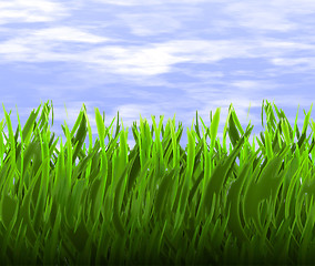 Image showing green grass