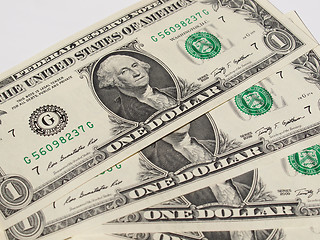 Image showing Dollar notes 1 Dollar