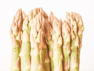 Image showing Retro looking Asparagus vegetable