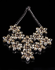 Image showing luxury necklace of plastic flowers on black stand