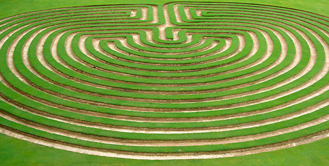 Image showing garden maze