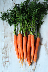 Image showing Bunch of fresh carrots with green leaves