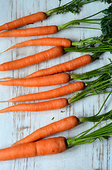Image showing Bunch of fresh carrots with green leaves
