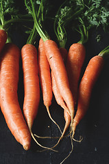 Image showing Bunch of fresh carrots with green leaves