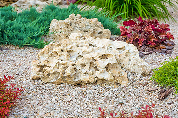 Image showing Flowerbed with stones and bushes as a decorative elements.