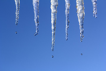 Image showing Icicles Melting 