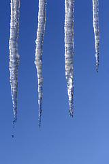 Image showing Icicles Melting 