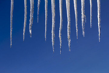 Image showing Icicles Melting 