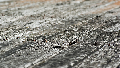 Image showing old planks