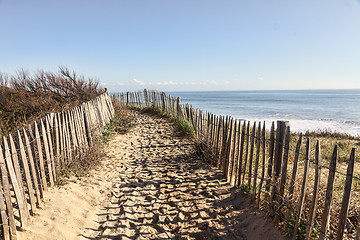 Image showing Footpath on the Atlantic Dune in Brittany