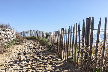 Image showing Footpath on the Atlantic Dune in Brittany