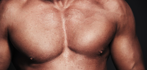 Image showing Muscular body