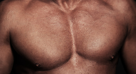 Image showing Muscular body