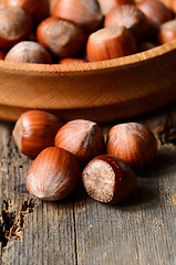 Image showing Whole brown hazelnuts