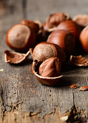 Image showing Whole brown hazelnuts