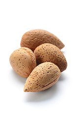 Image showing Raw almonds with shell