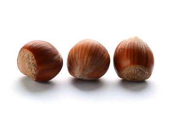 Image showing Whole brown hazelnuts