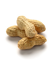 Image showing Dried peanuts  in shells