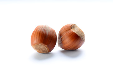 Image showing Whole brown hazelnuts