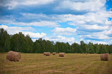 Image showing summer nature background