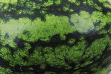 Image showing green melon background