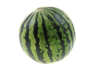 Image showing green melon isolated
