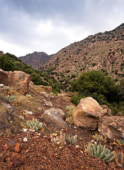 Image showing Autumn landscape. Nisyros, Greek island