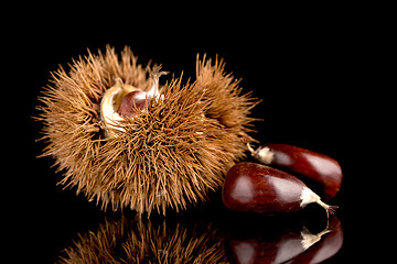 Image showing Chestnuts on a black reflective background