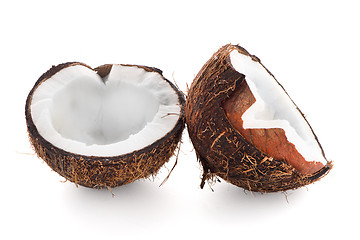 Image showing Coconut