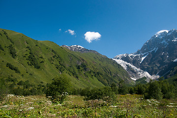 Image showing Georgia mountain