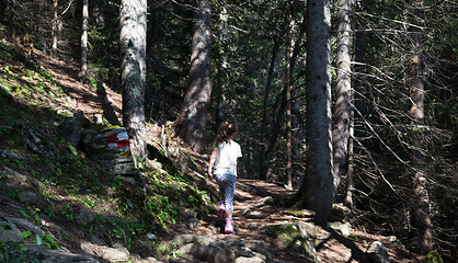 Image showing Girl in a forest