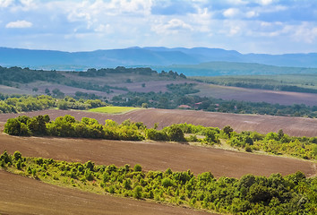 Image showing Plowed Fields