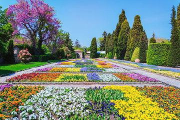 Image showing Different Kinds of Flowers