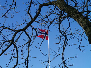 Image showing flag and branches