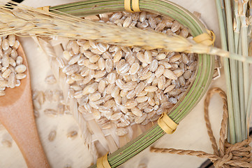 Image showing organic wheat grains 