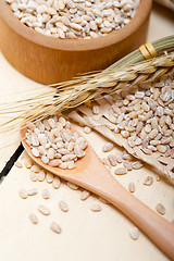 Image showing organic wheat grains 