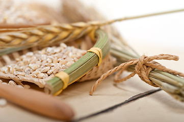 Image showing organic wheat grains 