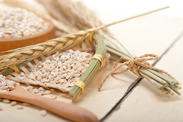 Image showing organic wheat grains 