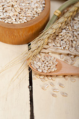 Image showing organic wheat grains 