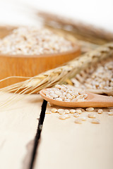 Image showing organic barley grains