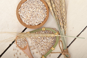 Image showing organic wheat grains 