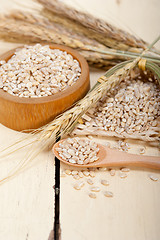 Image showing organic barley grains