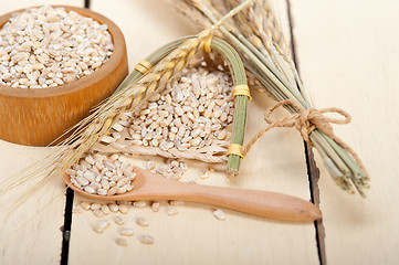 Image showing organic barley grains