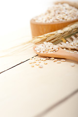 Image showing organic barley grains