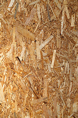 Image showing The wood texture