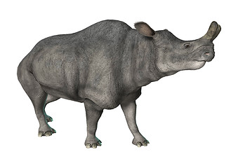 Image showing Brontotherium or Thunder Beast